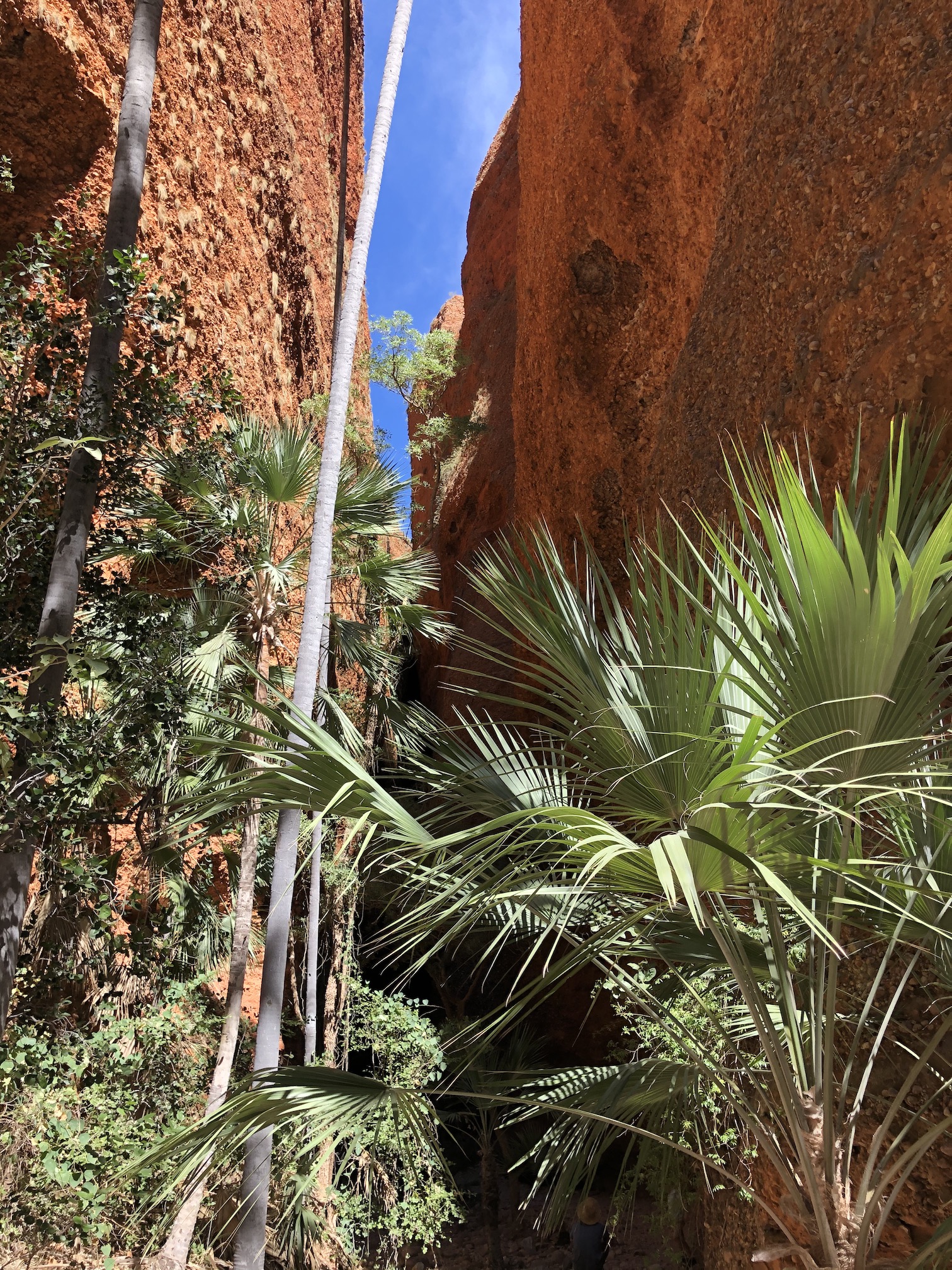 2020-08-08  Echidna Chasm, Bungles