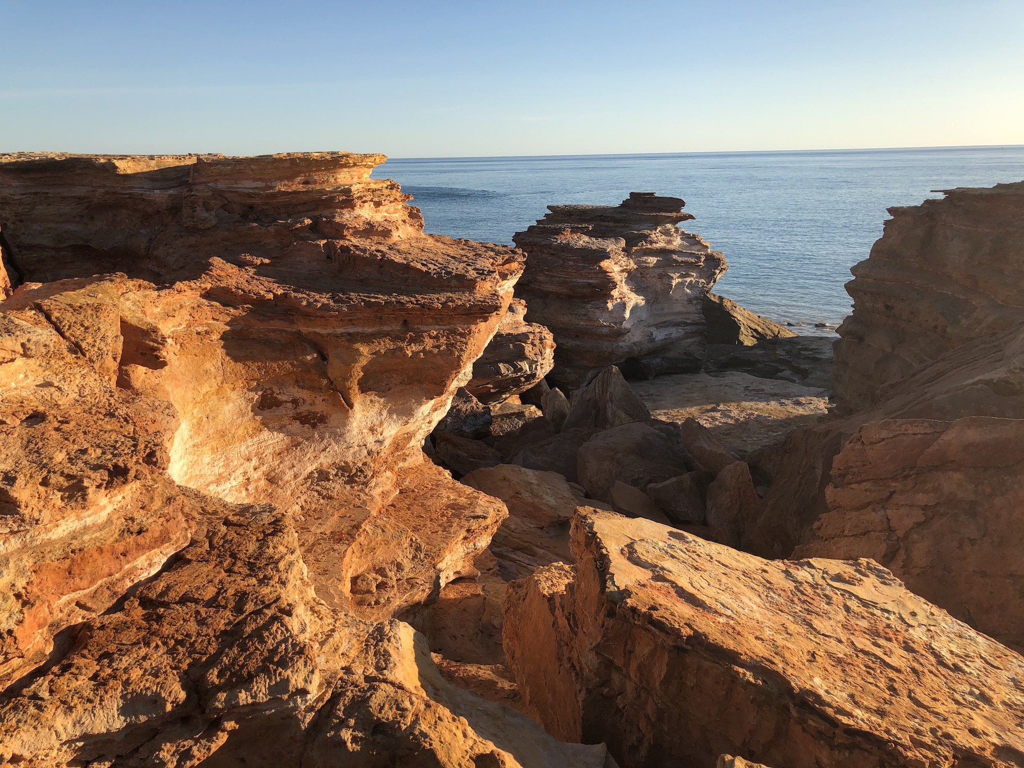 2020-08-02  Gantheaume Pt, Broome - dinosaur footprints here!