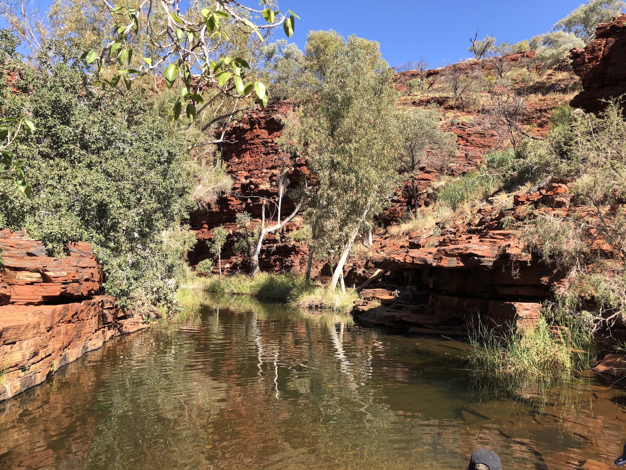 2020-07-23  Deep pool, Weano Gorge, Karijini