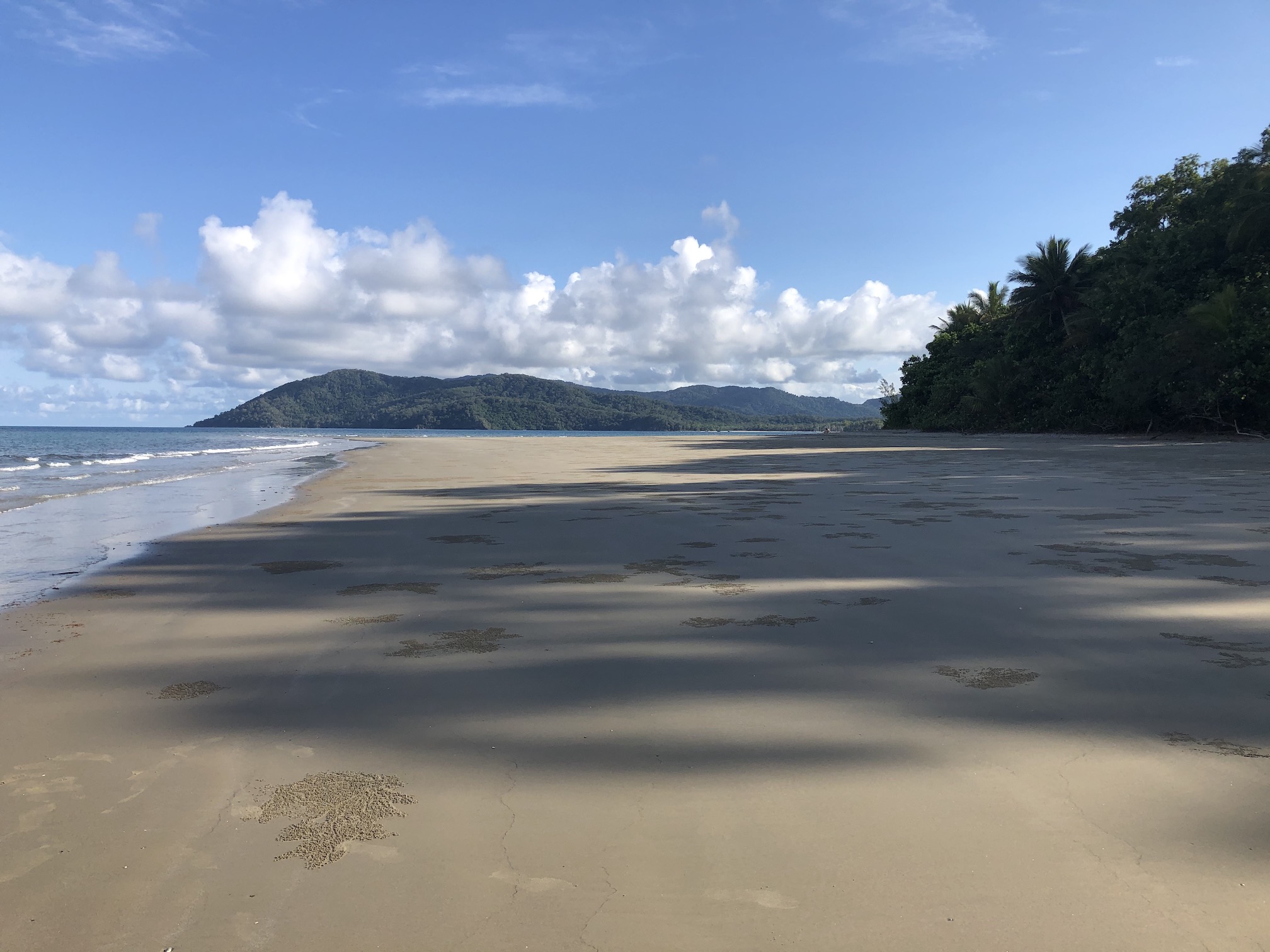 2020-10-29 View S, Daintree coastline