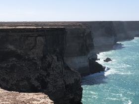 2020-03-27 Nullarbor coast, S of Eyre Highway