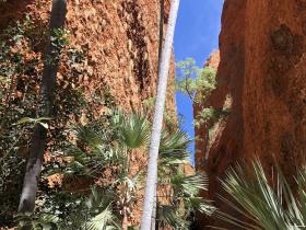 2020-08-08  Echidna Chasm, Bungles