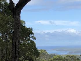 2020-03-31a View from lovely tall Gt Southern forest, over to Nornalup Inlet leading to sea