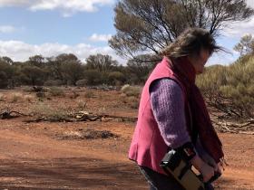 2020-06-29  Prospecting near Mt Magnet - but no gold found