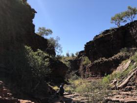 2020-07-23  Cold water footbath in Weano Gorge, Karajini