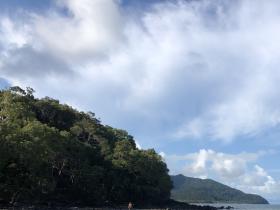 2020-10-29 View N, Daintree coastline