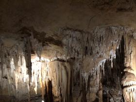 2020-03-22  Naracoorte Caves SA