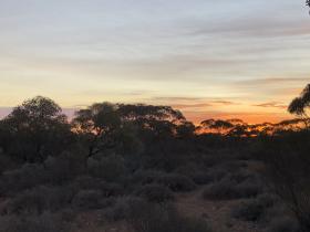 2020-03-28 Overnight WA stop between Cocklebiddy & Madura