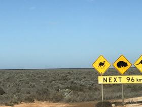 2020-03-27  Nullarbor signpost - long stretches of dead straight, flat road!
