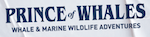 Prince of Whales - whale & marine wildlife adventures 